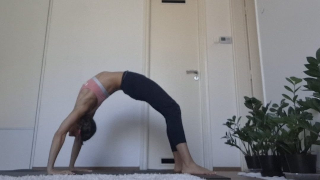 Enikő Varga: practicing the bridge image